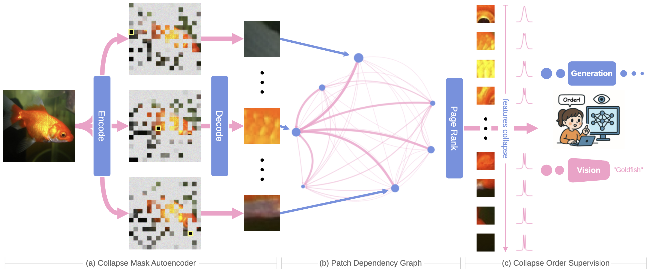 The Collapse of Patches | DiggingPapers